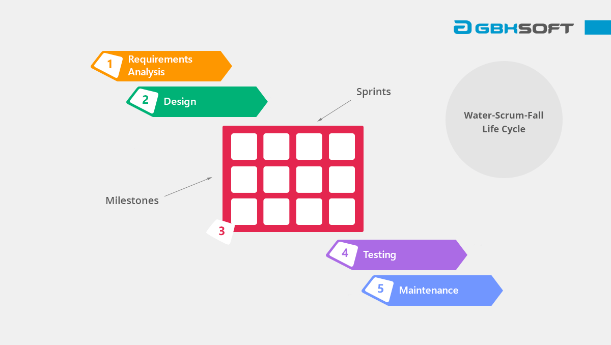 look at Water Scrum Fall model infographic