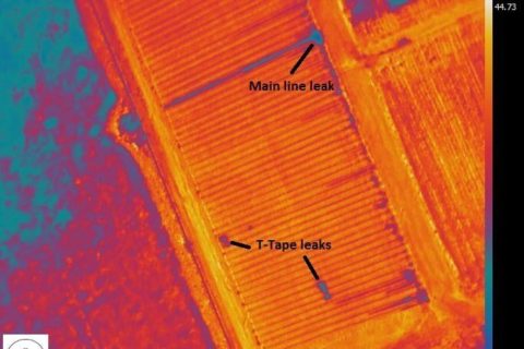 Thermal image used to find water leaks