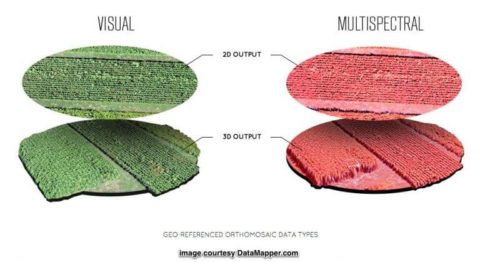 Farm Mapping multi spectral and visual image by drone