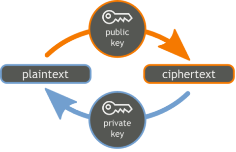 public key private key