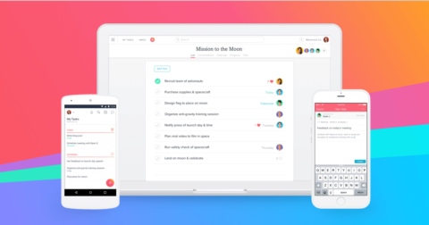 Asana preview