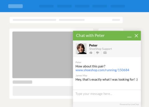 live chat window