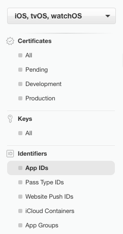 Apple Pay integration screenshot