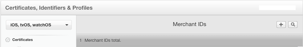 Apple Pay integration screenshot