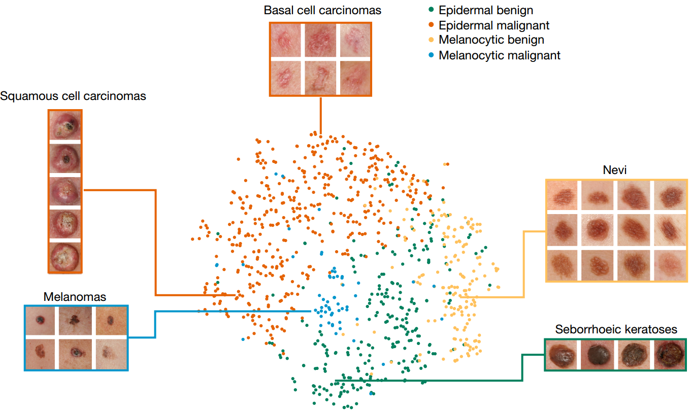 medical diagnostics 