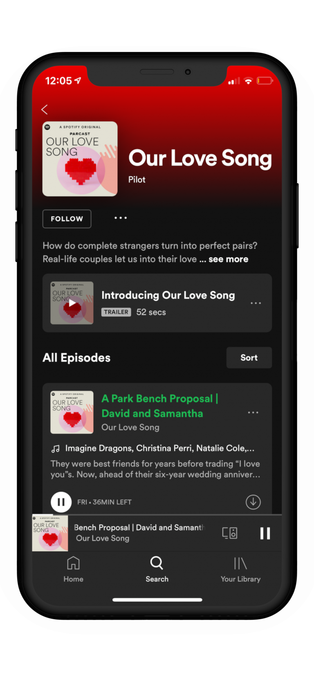 Spotify podcasts option