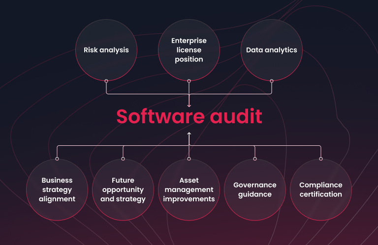 Image of Key aspects and benefits of a software audit, including risk analysis and compliance