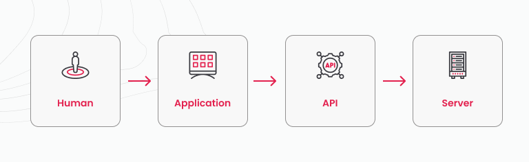 Flowchart showing human to server interaction via app and API