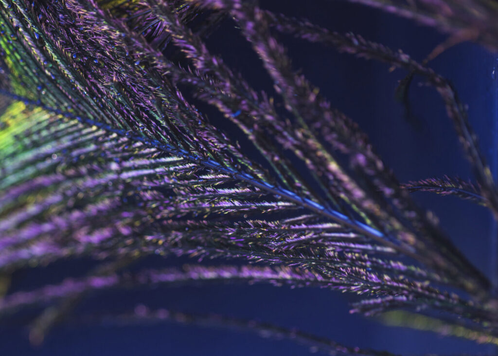 From legacy to learning: Modernising systems with AI integration