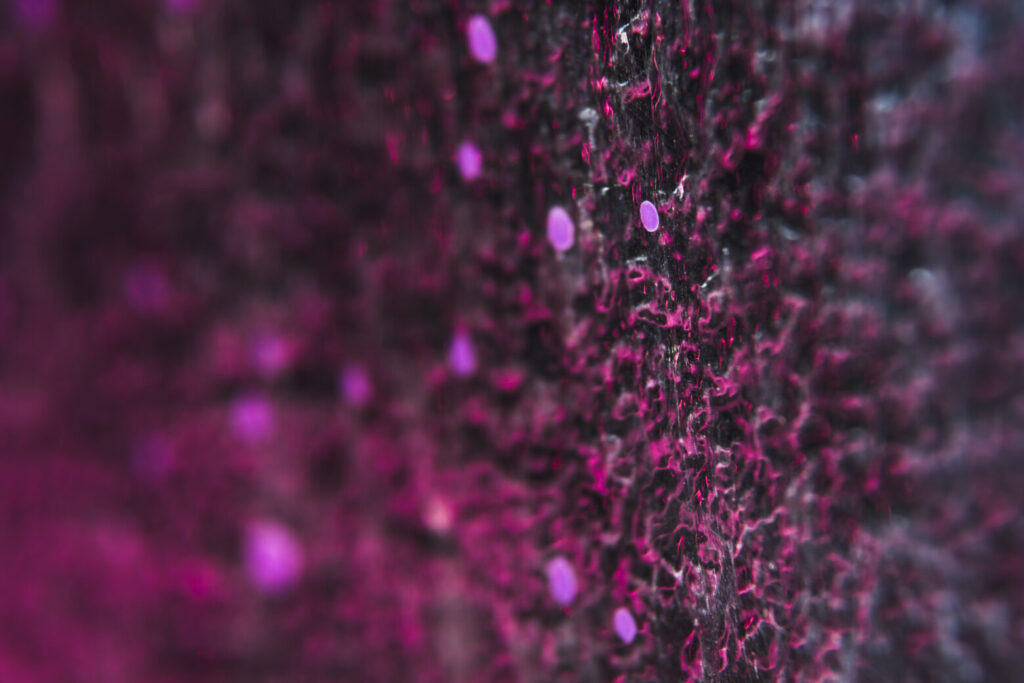 What AI can and can’t do: Setting realistic expectations for your business