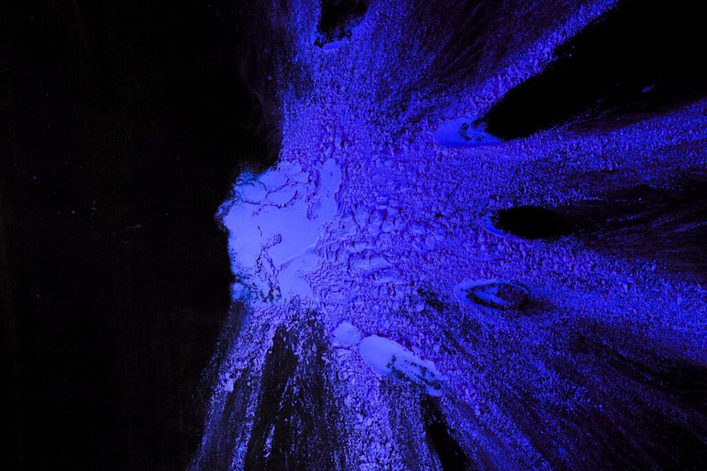 AI vs automation: What’s the difference, and when do you need each?